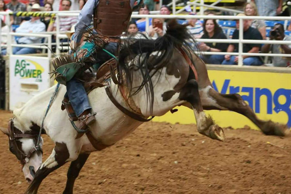 10best-sightseeing-mesquite-rodeo_54_990x660