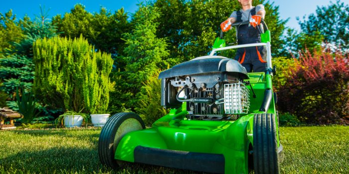 Landscaping Business. Gardener Mowing Backyard Lawn. Green Gasoline Lawn Mower